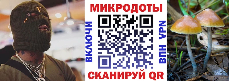 Купить где  Лебедянь  Псилоцибиновые грибы Magic Shrooms 